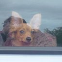 ���� &deg;&bull;*������&deg;&bull;*, ����������, 23 ���� - ��������� 12 ��� 2010 � ������ ������ �� �����...�