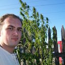 ���� ������, ���������, 50 ��� - ��������� 14 ������� 2010 � ������ ���� ����������