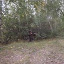 ���� ����, ������, 39 ��� - ��������� 7 �������� 2012 � ������ �)))�