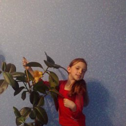 , 24, 