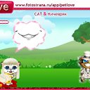  , , 30  -  12  2010   PetLove