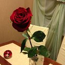 ���� ������, �������� - ��������� 19 ������ 2013 � ������ ���� ����������