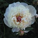 ���� ������, ������ - ��������� 25 ��� 2012 � ������ ���� ����������