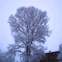 ���� ���������, ���������� - ��������� 10 ������ 2010 � ������ �*** ������� ***�