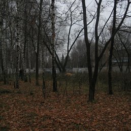  Heiko.87, , 62  -  28  2011