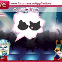  , -, 39  -  14  2010   PetLove