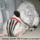 ���� ������, �������, 54 ���� - ��������� 17 ������ 2012 � ������ ���� ����������