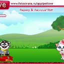 ���� Ҹ��, �����-���������, 23 ���� - ��������� 21 �������� 2010 � ������ �PetLove�
