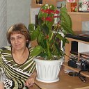 ���� �������, �����������, 68 ��� - ��������� 5 ��� 2013