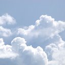 ���� �������, ������� - ��������� 24 ������ 2010 � ������ �������