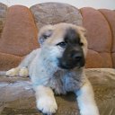 ���� ������@, �����������, 21 ��� - ��������� 14 ������ 2012