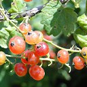 ���� Feruza, ������ - ��������� 16 ������ 2011