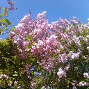 11.07.2012 � ��������� ������� ������)) �� ������� ���� ����������