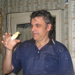 ���� Marjan, �����������, 62 ���� - ��������� 13 ������ 2013