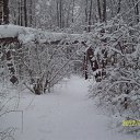 ���� �������, ������, 66 ��� - ��������� 21 ����� 2012 � ������ ���� ����������