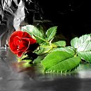 ���� �������, ����� - ��������� 31 ������� 2010 � ������ �������