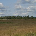 ���� ����, �������, 43 ���� - ��������� 15 ��� 2013 � ������ ���� ����������