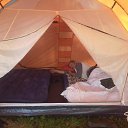 ���� ������, ������, 65 ��� - ��������� 11 ��� 2013 � ������ ���� ����������