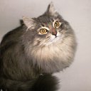 ���� Byaka, ���������, 41 ��� - ��������� 27 ������ 2010 � ������ ���� ������ ����� ������!!!�