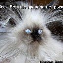  Dimonsoro, , 50  -  8  2012    