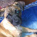 ���� �������, ������, 39 ��� - ��������� 9 ������� 2012 � ������ ���� ����������