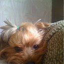 ���� ����, ������, 42 ���� - ��������� 25 ����� 2012 � ������ ���� ����������