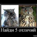 ���� �������, ����������, 38 ��� - ��������� 30 ��� 2012 � ������ ���� ����������