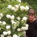 ���� ���, �����-��������� - ��������� 12 ���� 2012 � ������ �������