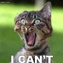 ���� ���������, ���������, 47 ��� - ��������� 29 ���� 2010 � ������ �������