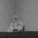 ���� ������**)), ����, 30 ��� - ��������� 5 ������ 2012 � ������ �������