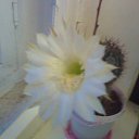  (  ,!!!!!!!) , , 59  -  25  2011   &quot;&quot;