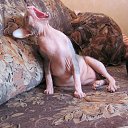 ���� �����, ������ - ��������� 24 ��� 2010 � ������ ���������� ������