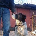 ���� Grigoriy, �������� - ��������� 16 �������� 2012 � ������ ���� ����������