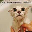 ���� �����, �������, 54 ���� - ��������� 3 ����� 2010 � ������ ���� ���������� =)�