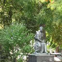  , , 33  -  15  2009       ?