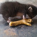 ���� �������, ��������, 42 ���� - ��������� 27 ��� 2013 � ������ ������ ��������