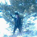 ���� ����, ������-��������, 34 ���� - ��������� 17 ����� 2012 � ������ ���� ����������