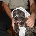 ���� �������, �����������, 59 ��� - ��������� 23 ������� 2012 � ������ �������