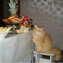 ���� Talyan!, ��������, 50 ��� - ��������� 29 ����� 2012 � ������ ���� ����������