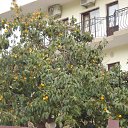 ���� ����, �������� ������ - ��������� 22 ���� 2010 � ������ ������� ����)�