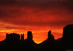 ���� Vikvik1982, ��������, 43 ���� - ��������� 14 ������� 2011