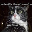 ���� �����, ��������, 67 ��� - ��������� 5 ������� 2013 � ������ ���� ����������