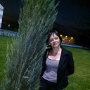 ���� �����, ���������, 50 ��� - ��������� 17 ������� 2012 � ������ ���� ����������