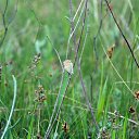 ���� �������, ������ - ��������� 16 ���� 2011 � ������ �������