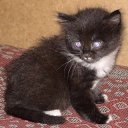 ���� ���������, ������ ��������, 46 ��� - ��������� 28 ������ 2009 � ������ ���� ��������: ������ � �����