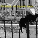 ���� ��, ������������, 39 ��� - ��������� 15 ������� 2011 � ������ ����������