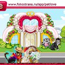  Vit-star, , 55  -  21  2010   PetLove
