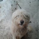  Tatiana, -, 61  -  10  2012    