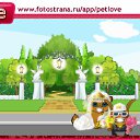 ���� ����, �������, 75 ��� - ��������� 14 ������ 2011 � ������ �PetLove�