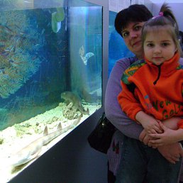 ���� ������, ����, 52 ���� - ��������� 28 ������ 2012